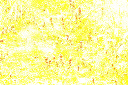 背景 底紋