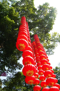 紅燈籠