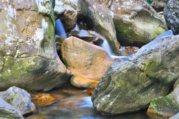 溪水 河床