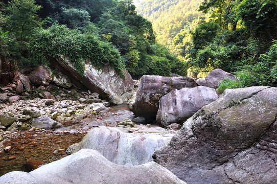 小溪 河床