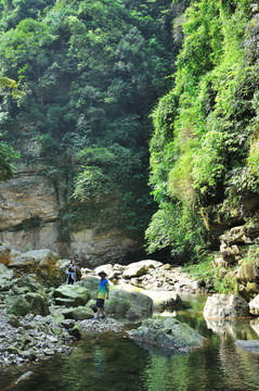 峡谷 小河