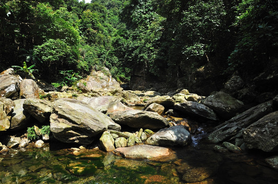 峡谷 小河