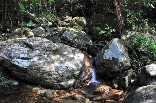 小溪流水