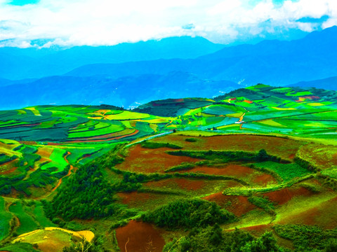 高山梯田