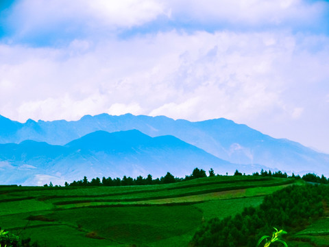 高山田野