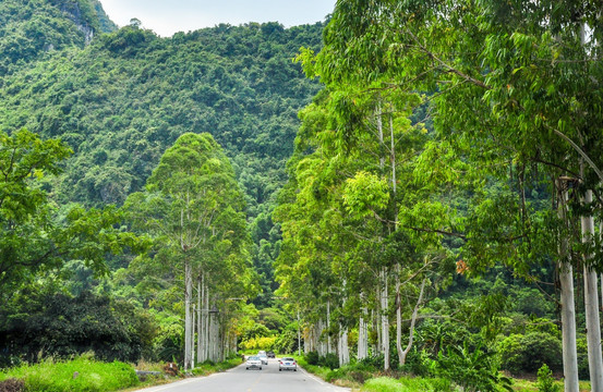 山区公路