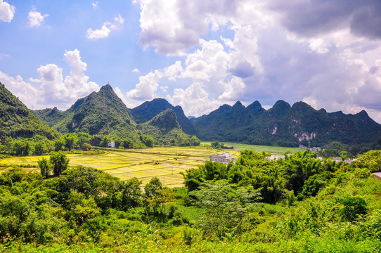 广西农田风景