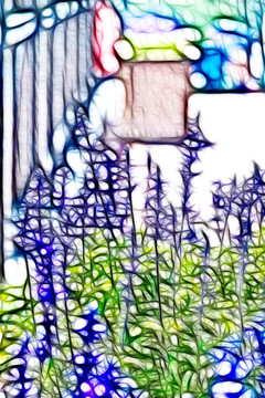 薰衣草花叢