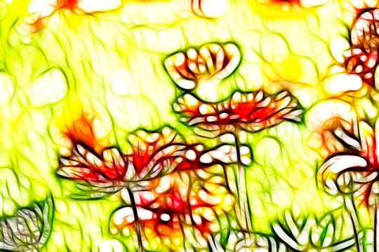 鄒菊花叢