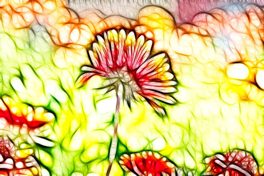 鄒菊花叢