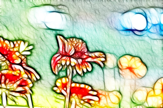 鄒菊花叢