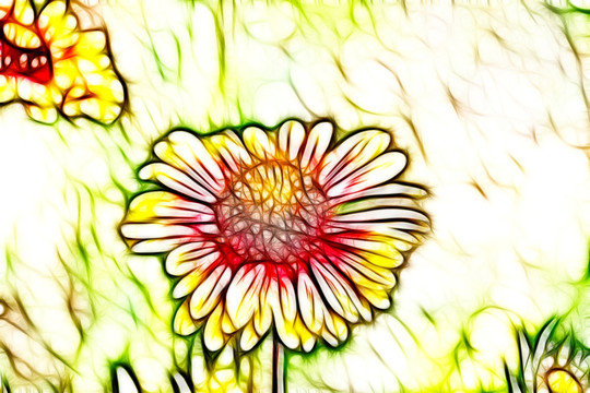 鄒菊花叢