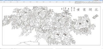 花開富貴 牡丹