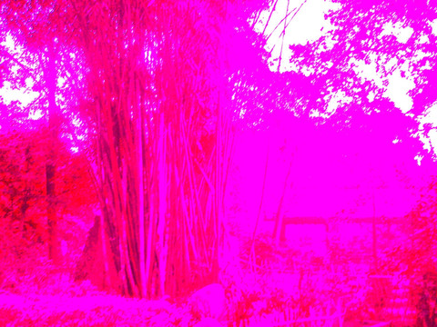 背景 底紋
