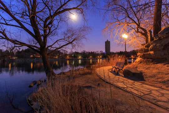 北大未名湖博雅塔月夜夜景