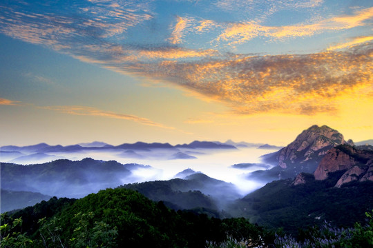 高山云雾