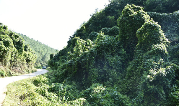 山间公路