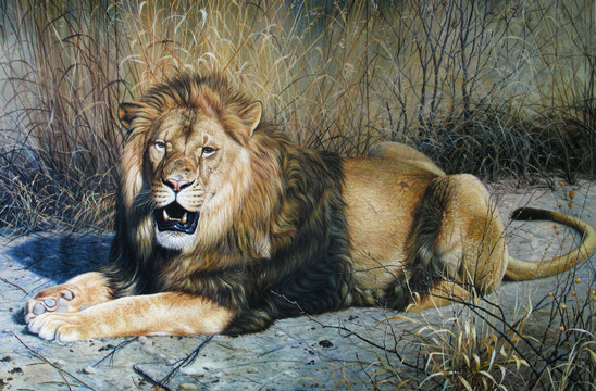 獅子油畫