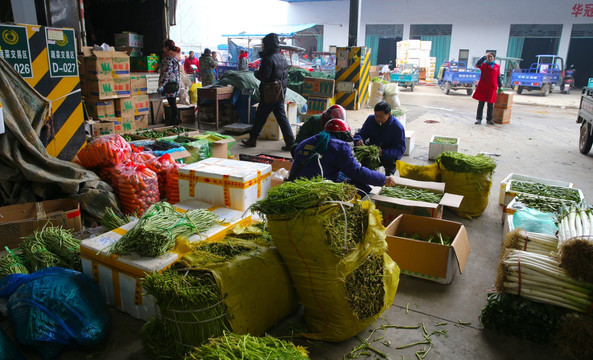 农副产品批发市场 蔬菜