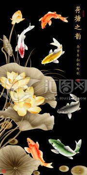 鯉魚 荷塘之韻