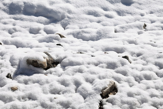 中国甘肃祁连雪山自驾游