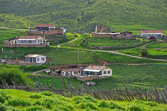 草原风光 藏民家