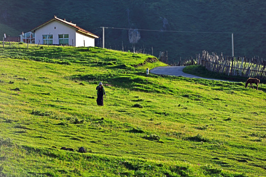 青藏高原 高原风光