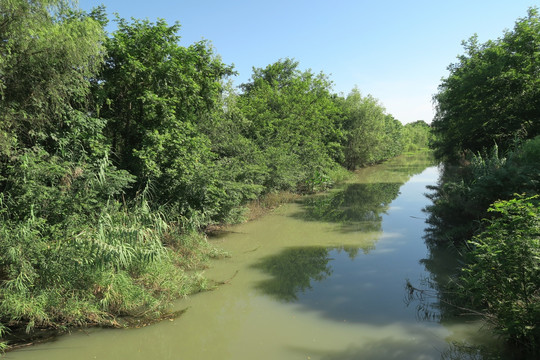 西溪湿地 杭州西溪