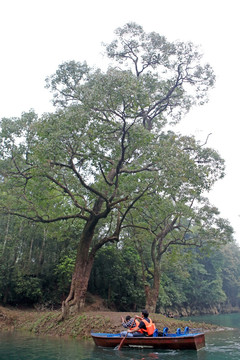 貴州 小七孔
