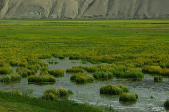 帕米尔湿地