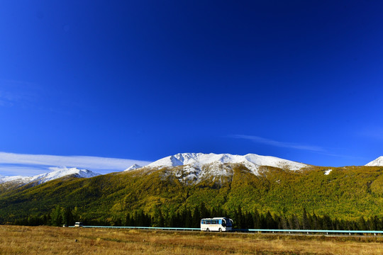 喀纳斯雪山