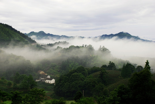 乡村风光