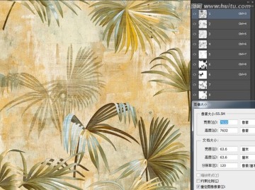 芭蕉葉葉