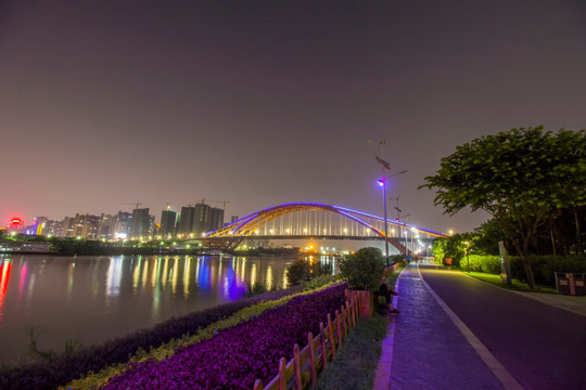 广东省佛山市东平大桥夜景