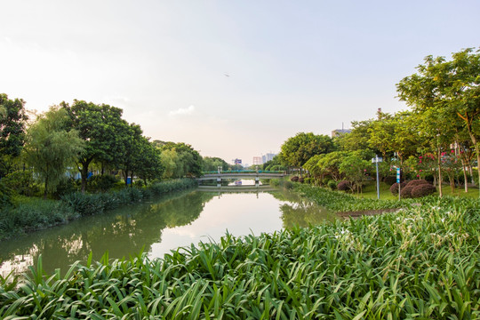 广东省佛山市佛山公园