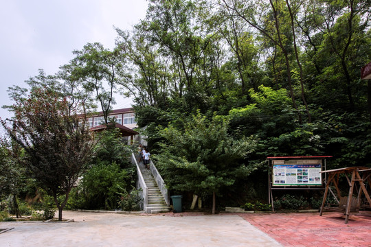 九里山水土保持工程