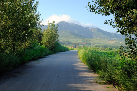 乡村公路