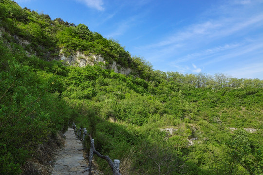 绿色青山