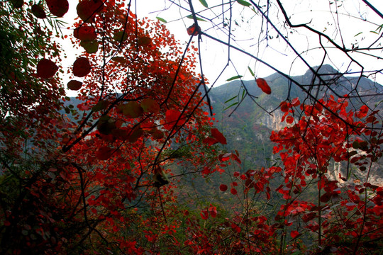 神女峰