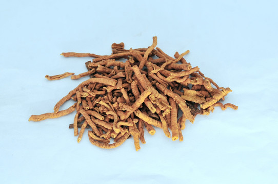 中草藥制遠(yuǎn)志