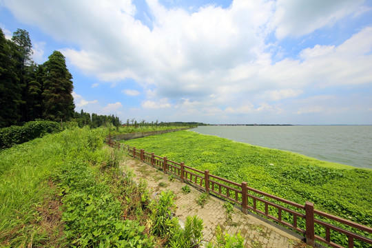 淀山湖风光