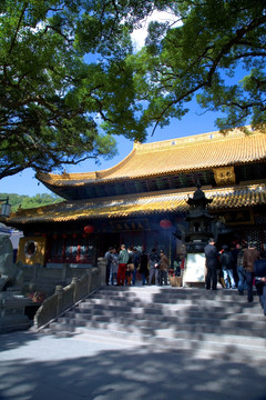 普陀山普济寺