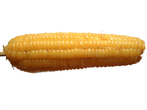 玉米棒