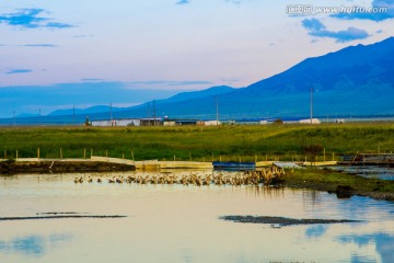 哈巴河度假村