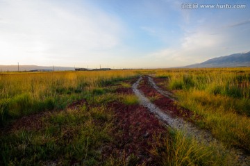 巴里坤草原风光