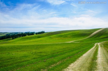 巴里坤草原风光