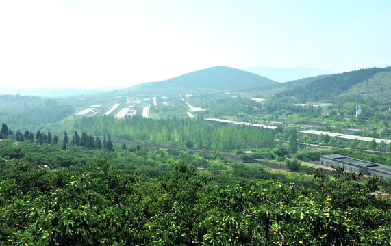 厂区风景  厂房建筑  厂貌