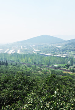 厂区风景  厂房建筑  厂貌