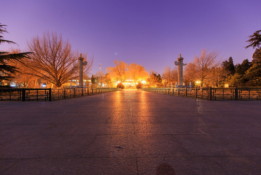 北京大学西校门华表夜景