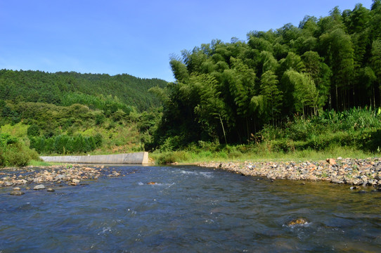 小溪竹林